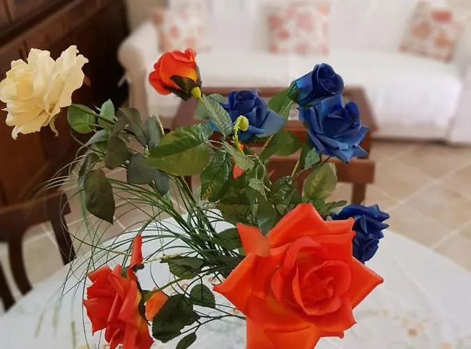 Economi Depandance Vendégház *